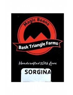 Sorgiña Regular Bask Triangle Farms
